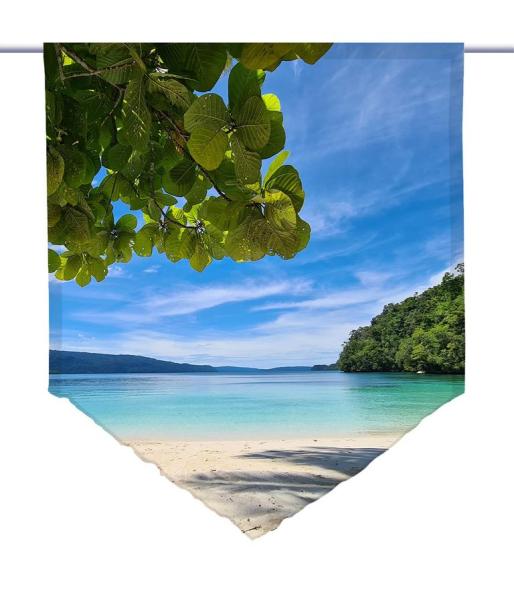 Traumzeit Papua, Scheibenhänger spitz